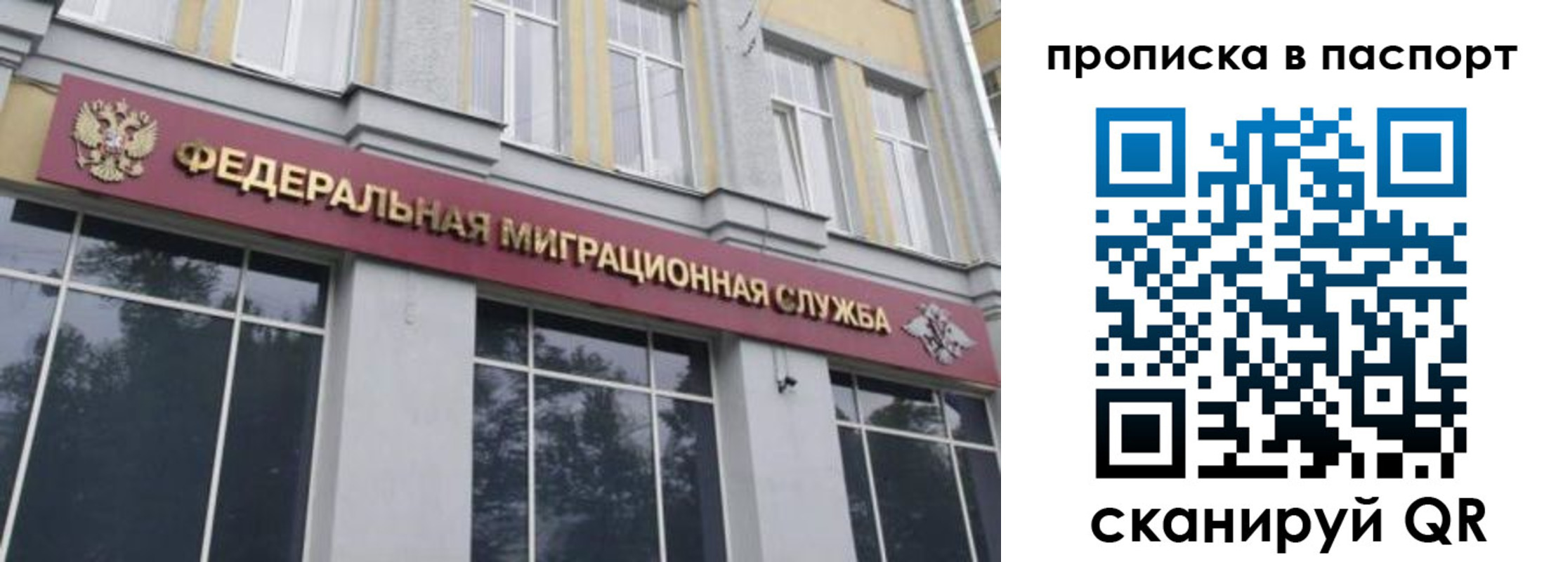 где прописаться в Щиграх
