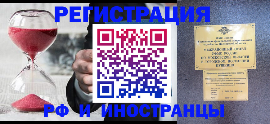 пропишу в квартире в Щиграх